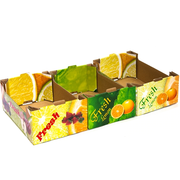 Fruit Packaging Carton Box
